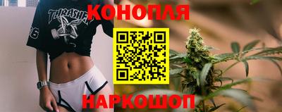 прущие крисы Гай
