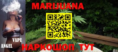 прущие грибы Гатчина